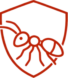 Ants