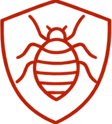 Bed bugs