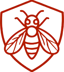 Flies