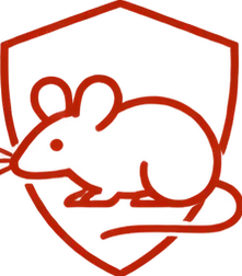 Mice and rats