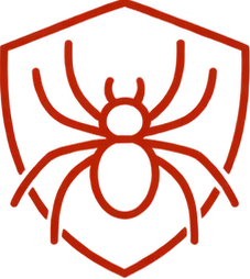 Spiders